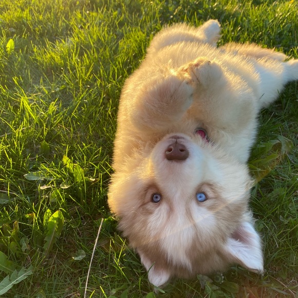 Meet your Posher, Jeaneé Elms - Picture 12 of 13